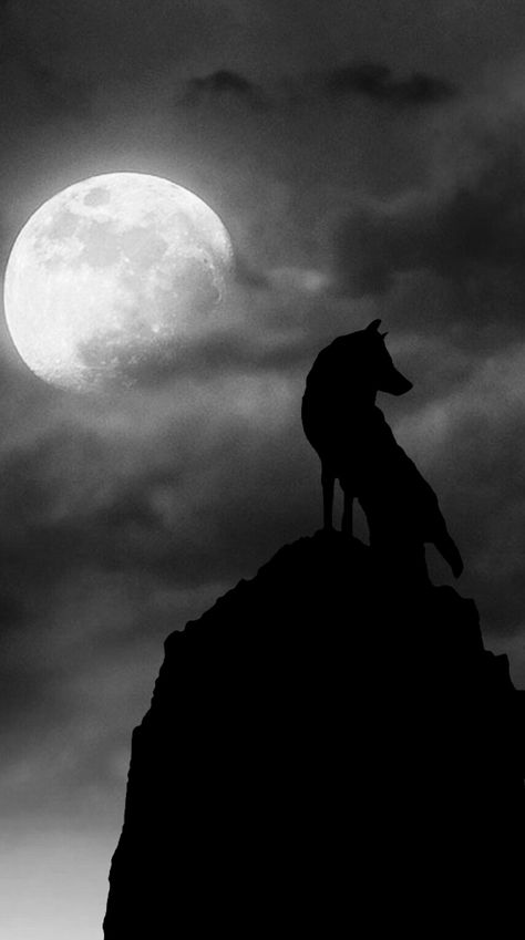 Wolf Pet Aesthetic, Wolf Dark Aesthetic, Wolf Wallpaper Dark, Dark Wolf Aesthetic, Dark Wolf Wallpaper, Black Wolf Wallpaper, Black Wolf Aesthetic, Werewolf Wallpaper, Night Wolf