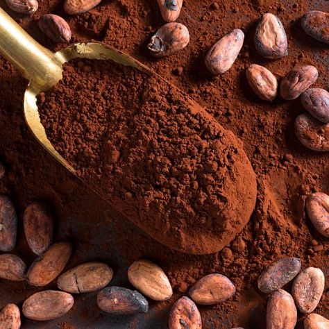 Benefits Of Cacao Powder, Cacao Aesthetic, Cocoa Vs Cacao, Chocolate Bun, High Volume Low Calorie, Benefits Of Cacao, Cacao Powder Benefits, Low Calorie Snack, Cacao Benefits