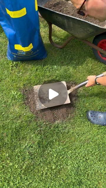 Tom Strowlger on Instagram: "Summer Lawn care 🌱

Moles are very active this year, more than previous years. So here’s how to repair the lawn in the aftermath of their mound creating work. You can of course use this technique for general lawn repairs. 

I’ve got a 10% discount promo code GWTLAWN2024 for you at www.bostonseeds.com @bostonseeds on lawn seed, fertiliser, mini handheld spreader and lawn drop spreaders 👍

I do love a lush green healthy lawn all year round 🌱

#gardener #garden #gardening #flowers #flower #plants #gardens #gardendesign #gardenersofinstagram #gardeningtips #mygarden #gardeninspiration #gardensofinstagram #gardenlove #gardeners #instagarden #plantsofinstagram #gardenwithtom #lawn #lawncare #lawnmaintenance #lawnservice #lawncarelife #lawnfawnatics #lawncarenut #l Summer Lawn Care, Lawn Repair, Seeding Lawn, Lawn Service, Healthy Lawn, Flower Plants, Summer Lawn, Lawn Maintenance, Gardening Flowers