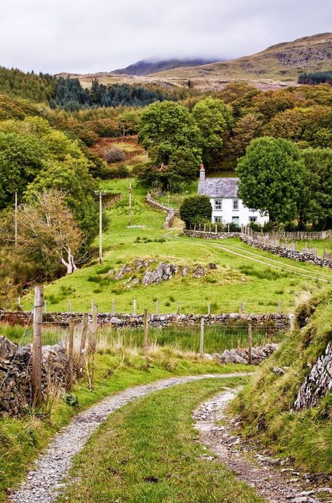 Wales Countryside, Gwynedd Wales, Wales Travel, Welsh Dragon, Wales Uk, Production Design, England And Scotland, Dirt Road, Log Cabins