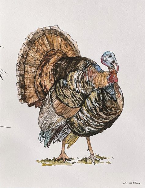 Turkey Drawing Ideas, Wild Turkey Drawing, Thanksgiving Watercolor Paintings, Turkey Drawings, Turkey Sketch, Turkey Watercolor, Fall Watercolors, Watercolor Turkey, Thanksgiving Watercolor