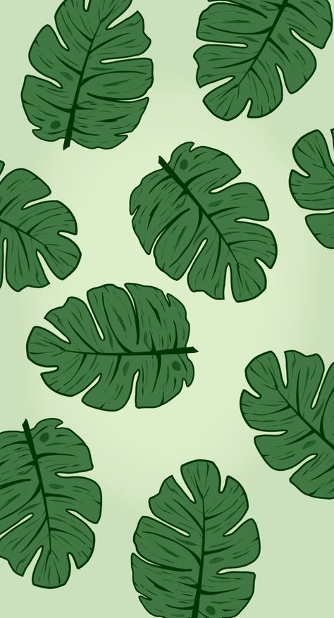 Plant Pattern Wallpaper, Green Leafs Aesthetic, Monstera Wallpaper Aesthetic, School Ipad Wallpaper, Monstera Plant Wallpaper, Leaf Phone Wallpaper, Monstera Plant Aesthetic, Monstera Background, Monstera Leaf Wallpaper