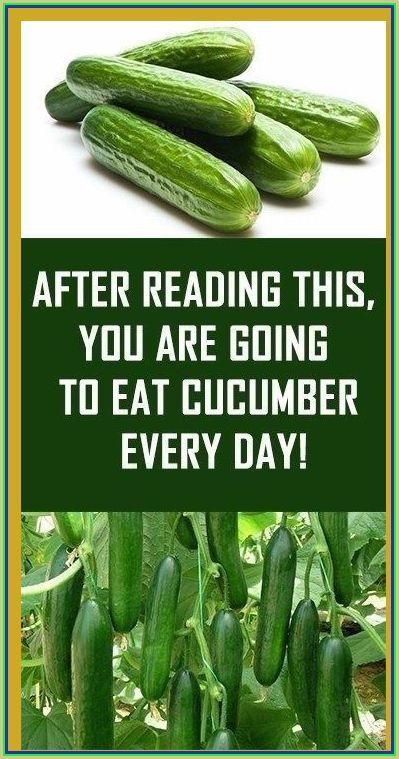 After You Read This, You Are Going To Eat Cucumber Every Day! Cucumber Canning, Healthy Advice, Women Tips, Health Planner, Healthy Routine, Women Health, Healthy Diet Plans, Diy Health, Signs And Symptoms