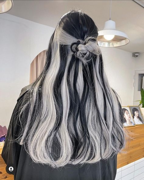 Silver Hair Short, Black And White Hair, Korean Hair Color, Hair Color Underneath, Hair Color Streaks, Hair Streaks, Dyed Hair Inspiration, Pretty Hair Color, Hair Stylies