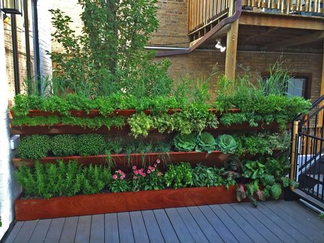 20+ Creative and Inspiring Raised Bed Vegetable Garden Ideas #garden Herb Wall, Vertical Vegetable Garden, Vegetable Garden Raised Beds, Vertical Herb Garden, Vertical Gardening, Veg Garden, Vegetable Garden Design, Rooftop Garden, Raised Bed