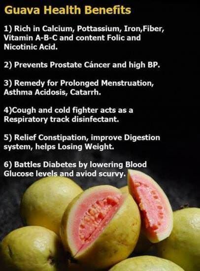 Health Tips Of Eating Guava Guava Health Benefits, Benefits Of Guava, Guava Benefits, Guava Fruit, Matcha Benefits, Coconut Health Benefits, Benefits Of Coconut Oil, Daily Health Tips, Natural Health Remedies