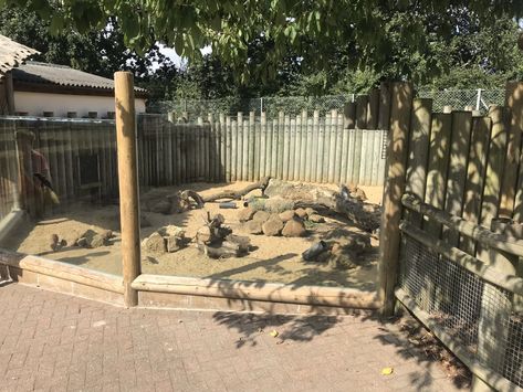 https://www.zoochat.com/community/media/yellow-mongoose-exhibit-080818.410955/full?lightbox=1&update=1534785424 Zoo Enclosures, Zoo Exhibit Ideas, Planet Zoo Inspiration, Zoo Exhibit Design, Zoo Exhibit, Meerkat Habitat, Fox Habitat, Planet Zoo Tiger Habitat, Planet Zoo Wolf Habitat