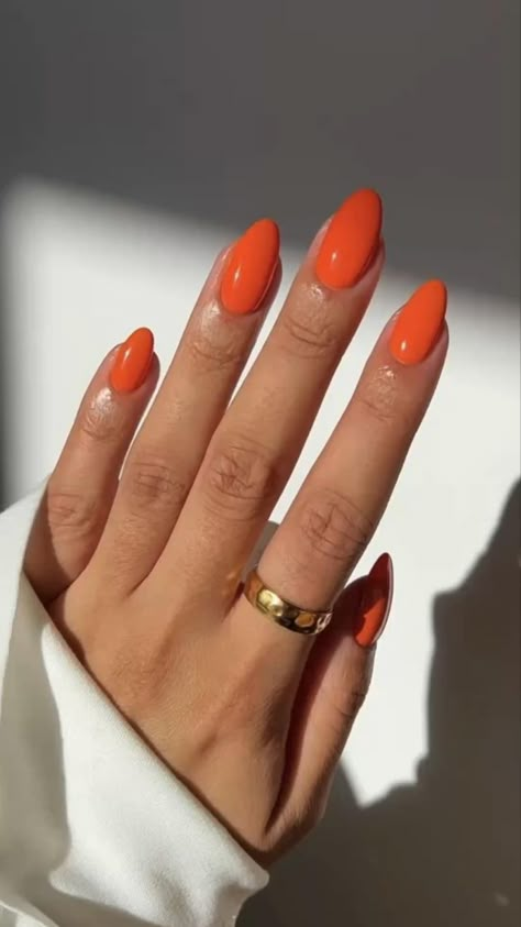 Summer Nail Inspo Almond One Color, September Nail Ideas Almond Shape, Peach Acrylic Nails Almond, Bold Nail Colors Summer, Gel Nails Orange Summer Colors, Round Vacation Nails, Orange Nail Colors Summer, Orange Oval Acrylic Nails, Summer Nails Olive Skin