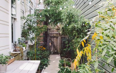 Berkeley Urban Patio Front Yard - Contemporary - by Ian Moore Design | Houzz Urban Backyard, Pocket Garden, Narrow Garden, Small Courtyard Gardens, Small Backyard Gardens, Side Garden, Side Yard, Small Garden Design, Courtyard Garden