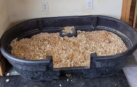 Pot Belly Pig Pen, Pig Litter Box Ideas, Pot Belly Pig, Litter Box Ideas, Raising Pigs, Pot Belly Pigs, Pig House, Pot Belly, Box Ideas