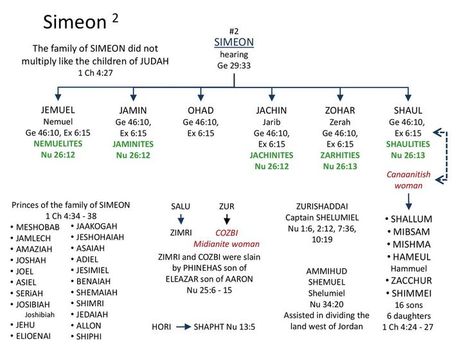 Simeon Son of Jacob 12 Sons Of Jacob, Songs Of Solomon Bible Study, Jacob Family Tree Bible, Prophet Jonah, Book Of Revelation Timeline, Sons Of Jacob, Torah Study, Bible Prints, Online Bible Study