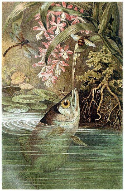 Pez cazador Fall Illustration, Science Illustration, Autumn Illustration, Scientific Illustration, Illustration Vintage, Art Et Illustration, Plants And Flowers, Art And Illustration, Nature Illustration