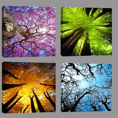 Four Seasons Painting, Tree Painting Canvas, Painting Picture, Seasons Art, Tree Canvas, Landscape Pictures, Colorful Landscape, Landscape Canvas, Pictures To Paint