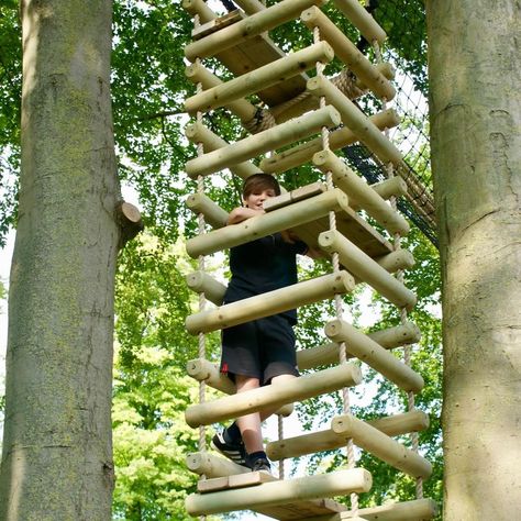 Treehouses, Rope Bridges, Treetop Walkways and Nest Swings Treehouse Ideas, Platform Deck, Tree Deck, Rope Bridge, Tree Fort, Tree House Diy, Rope Ladder, Tree Canopy, Play Areas