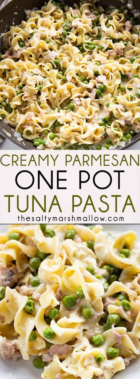 Cream Of Tuna Recipe, One Pot Tuna Casserole, Tuna And Noodles, Tuna And Pasta, Pasta Tree, Recipes One Pot, Pasta Tuna, Australia Recipes, Garlic Spaghetti