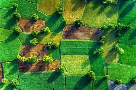 Abstract Aerial Landscapes We Love (and How to Photograph Them) Aerial Views Landscape, Mekong Delta, Aerial Images, Rice Fields, Aerial Photograph, Wallpaper Murals, Aerial Photo, Birds Eye View, Drone Photography