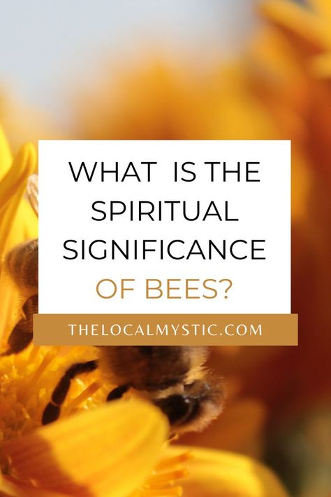 What Do Bees Represent, Bee Spirit Animal Meaning, Honey Bee Spirit Animal, All About Honey Bees, Quotes About Bees Inspiration, Queen Bee Meaning, What Do Bees Symbolize, Honey Bee Meaning, Honey Bee Symbolism