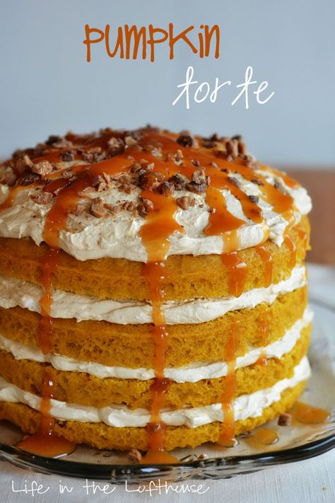 This is a Pumpkin Torte. Isn’t she a beaut?  I served this to our friends we had over for dinner last Friday night. When I took it out of the fridge to serve everyone was ooing and awing! It has Wow-factor written all over it! (and it’s actually super easy to make) Moist pumpkin cake layers with pumpkin whipped cream in... Read More » Pumpkin Torte, Life In The Lofthouse, Pumpkin Dessert, Pumpkin Cake, Yummy Sweets, Fall Desserts, Pumpkin Recipes, Apple Recipes, Let Them Eat Cake