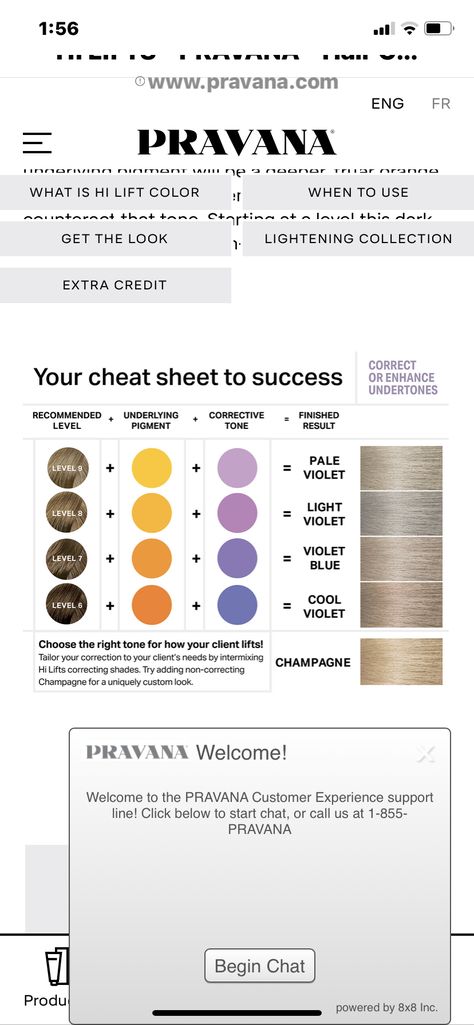 Pravana Toner Formulas, Pravana Hair Color Formulas, Pravana Color Formulas, Pravana Hair Color Chart Chromasilk, Pravana Formulas, Purple Toner, Toner Formulas, Hair Brunettes, Pravana Hair Color