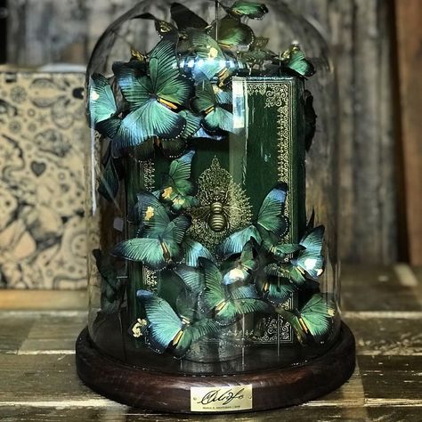 I Create Butterflies Out Of Paper Sheets In Memory Of My Grandmother Fantasy Shelf Decor, Glass Dome Decor Ideas, Butterfly Dome, Halloween Cloche, Bug Taxidermy, نباتات منزلية, Taxidermy Art, Beautiful Butterflies Art, Morpho Butterfly