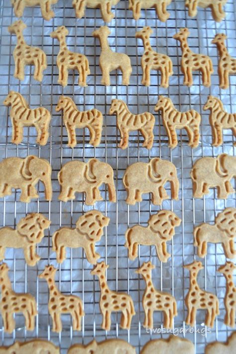 Animal Crackers Recipe, Homemade Crackers Recipe, Healthy Crackers, Crackers Recipe, Homemade Graham Crackers, Cracker Cookies, Lunchbox Treats, Homemade Crackers, Cracker Snacks