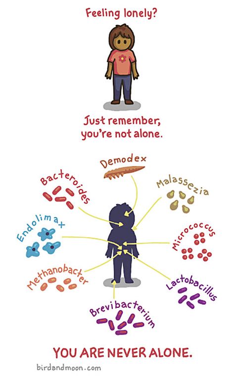 You are never alone - science memes Microbiology Humor, Biology Jokes, Lab Humor, Biology Humor, Nerdy Jokes, Nerdy Humor, Biology Lessons, Science Geek, Science Nerd