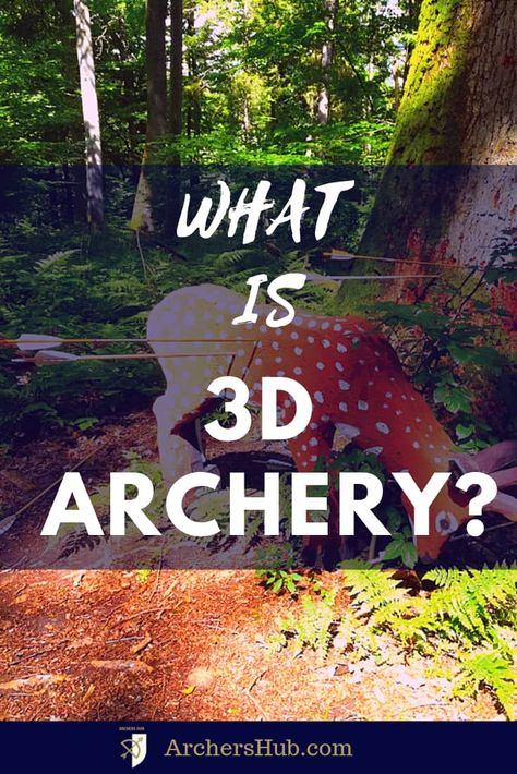 Archery For Beginners, Archery Competition, 3d Archery, Target Archery, Archery Games, Archery Shop, Mounted Archery, Archery Tips, Archery Gear