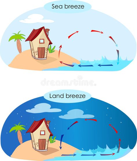 Vector illustration of sea breeze and land breeze Sea Breeze, A Sea, Stock Vector, Vector Illustration, Fictional Characters, Art