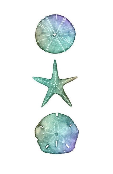 Sand Dollar Wallpaper, Watercolor Sand Dollar, Sand Dollar Watercolor, Sand Dollar Drawing, Tattoo Prep, Sand Dollar Tattoo, Dollar Tattoo, Ocean Sleeve, Seashell Tattoos