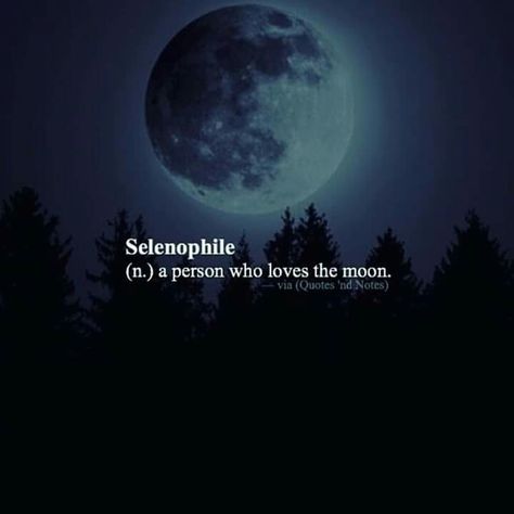 Selenophile (n.) A person who loves the #Moon Moon Lovers Quotes, Moon And Star Quotes, Moon Quotes, Unique Words Definitions, Uncommon Words, Star Quotes, Love Moon, Soothing Quotes, One Word Quotes