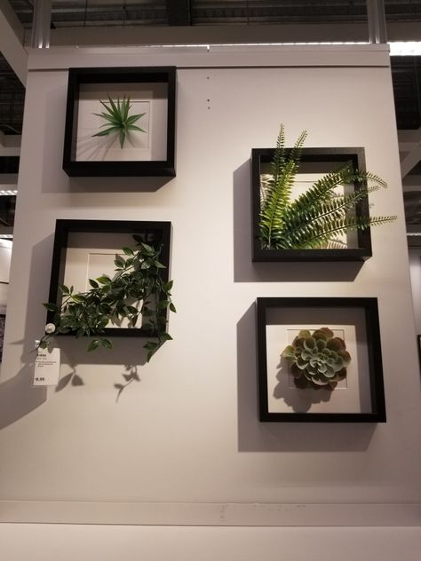 Plants In Frames, White Wine Rack, Wine Wallpaper, Cool Shelves, Floating Shelves Ideas, Wine Rack Design, Sitting Room Design, Framed Plants, Shelves Ideas