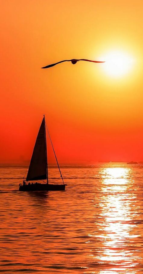 Sunrise Drawing, Beach Sunset Painting, Huawei Wallpapers, Boat Drawing, Gold Art Painting, Nature Iphone Wallpaper, Silhouette Painting, Sunset Wallpaper, Setting Sun