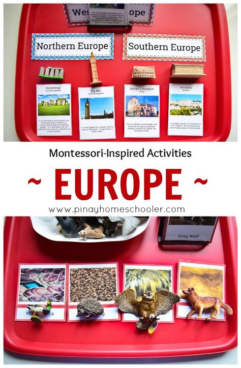 The study of Europe Continents Activities, Flag Of Europe, Montessori Geography, Around The World Theme, Europe Continent, Montessori Lessons, Homeschool Geography, Montessori Education, Montessori Ideas