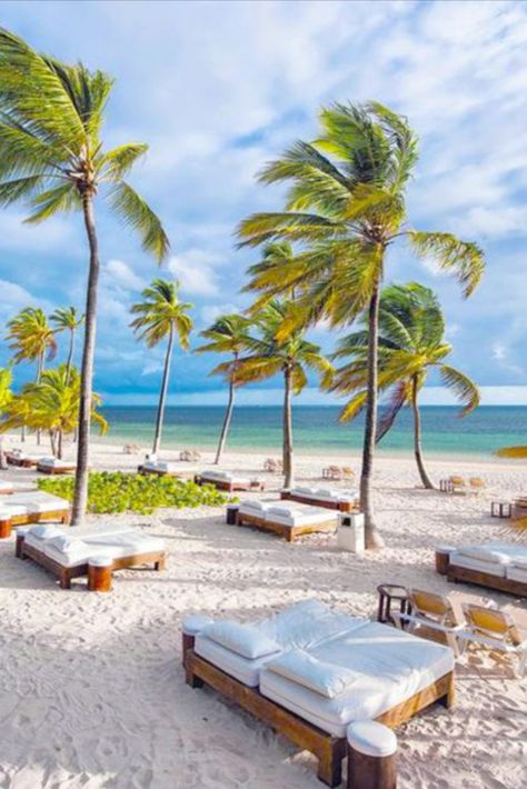 Dominican Republic Beaches, Punta Cana Beach, Best Beach In Florida, Punta Cana, Vacation Places, Florida Beaches, Dream Destinations, Dominican Republic, Beach Resorts