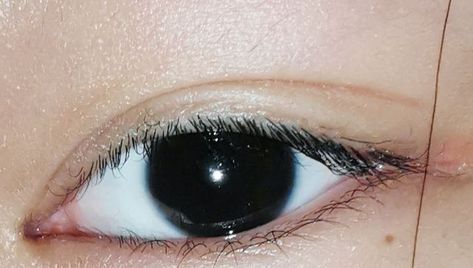 Chinese eye shape and color Asian Eye Shapes, Chinese Eyes, Brown Eyes Aesthetic, Monolid Eyes, Turkish Eye, Asian Eyes, Face Reference, Aesthetic Eyes, Dragon Eye