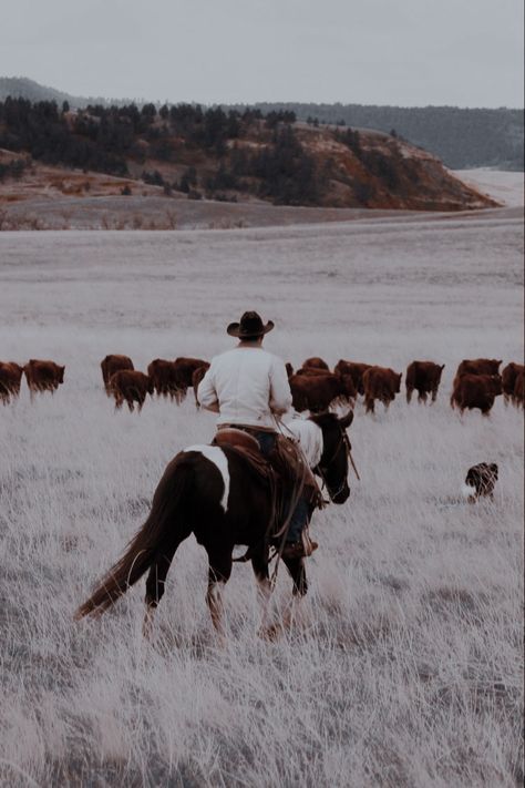 Cade Eaton, Montana Aesthetic, Country Romance, Romance Aesthetic, Montana Ranch, Maladaptive Daydreaming, Cowboy Romance, Cowboy Aesthetic, Western Romance