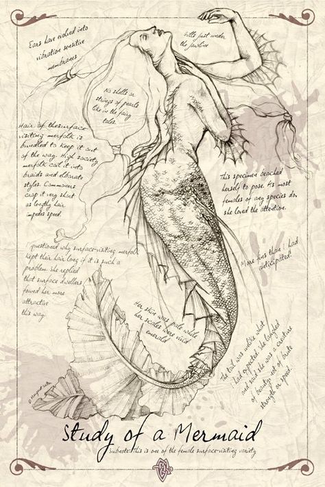 spiderwick chronicles Doodles Borders, Polyvore Fillers, Spiderwick Chronicles, Text Borders, Mythical Monsters, Mermaid Artwork, Art Text, Mermaid Pictures, Mermaids And Mermen