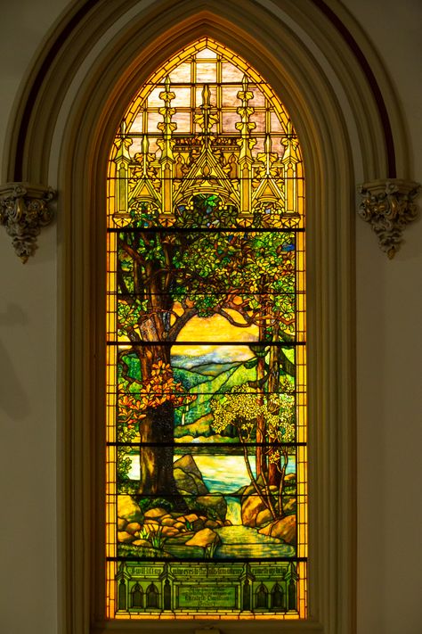 Stained Glass Yellow, Tiffany Stained Glass Windows, Glass Entrance Doors, Stain Glass Window Art, Stained Glass Church, Glass Window Art, Tiffany Stained Glass, Church Windows, Presbyterian Church