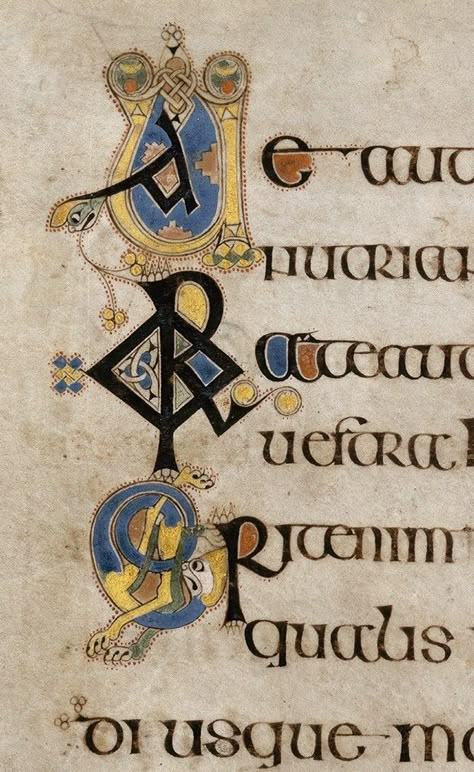 Book Of Kells Art, Old Style Drawing, Trinity Dublin, Uncial Calligraphy, Illuminated Manuscript Art, Celtic Letters, Illuminated Lettering, Manuscript Art, Celtic Artwork