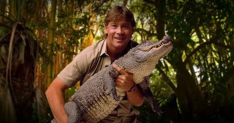 Documentary series captivate viewers with an exclusive look into the beauty and mystery of the natural world through the eyes of the animal kingdom. Steve Irwin Costume, Zookeeper Costume, Terri Irwin, Happy Birthday Steve, Irwin Family, Crocodile Hunter, Father Son And Holy Spirit, Wildlife Rehabilitation, Vans Warped Tour