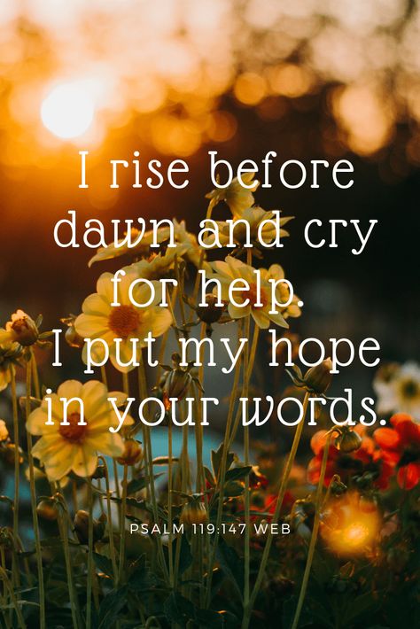 flowers with sunrise - Psalm 119:147 - I rise before dawn and cry for help. I put my hope in your words. Writing Scripture, Psalms 119, Oldest Bible, Bubble Quotes, Quote Bubble, Praising God, Bible Journal Notes, The Great I Am, Psalm 118