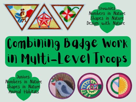 Tackling Badge Work in Multi-Level Girl Scout Troops: Combining the Math in Nature Badges for Juniors and Brownies – Media PopCorn My Family Story Brownie Badge, Math In Nature, Girl Scout Brownie Uniform, Girl Scout Brownie Badges, Junior Girl Scout Badges, Cadette Badges, Maths In Nature, Girl Scout Gifts, Girl Scout Fun Patches