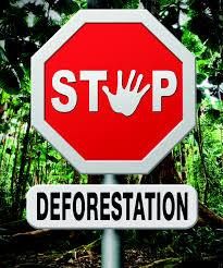 Deforeststation Stop Deforestation, Arizona Logo, Novelty Sign, Signs