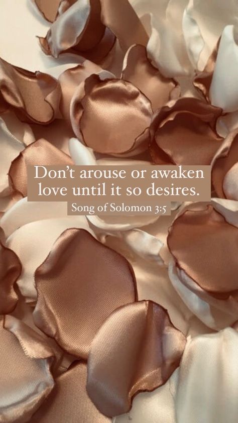 Song Of Solomon Aesthetic, Solomon Quotes, Songs Of Solomon Quotes, Songs Of Solomon, Music And The Brain, Christian Quotes Wallpaper, Bible Verse Background, Bible Quotes Wallpaper, Bible Quotes Images