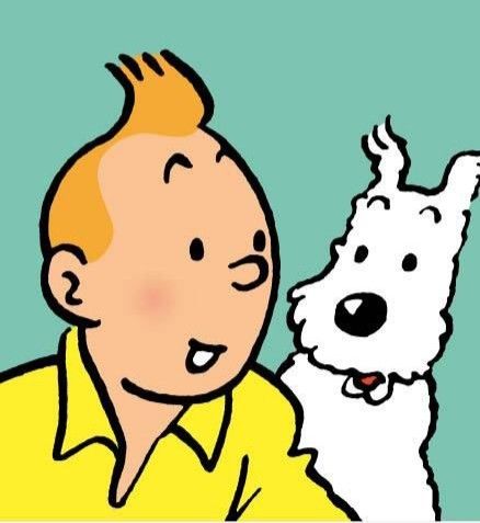 Tin Tin Cartoon, Tin Tin, Famous Cartoons, Vintage Poster Art, Cartoon Profile Pics, Comic Book Characters, Vintage Comics, Comic Heroes, Caricatures