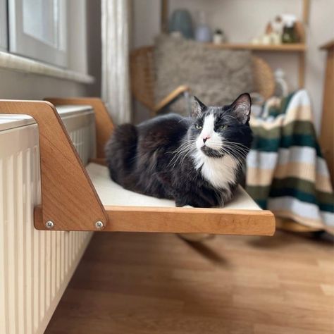 Handcrafted Wooden Moderns Cat Bed-a Serene Resting Haven for Your Feline Friend,radiator Hanging Cat Bed,hanging Cat Shelf, Wooden Pet Bed - Etsy UK Kitten Furniture, Wooden Pet Bed, Modern Cat Bed, White Wall Shelves, Kitten Beds, Pet Hammock, Cat Hammock, Nyan Cat, Cat Shelves