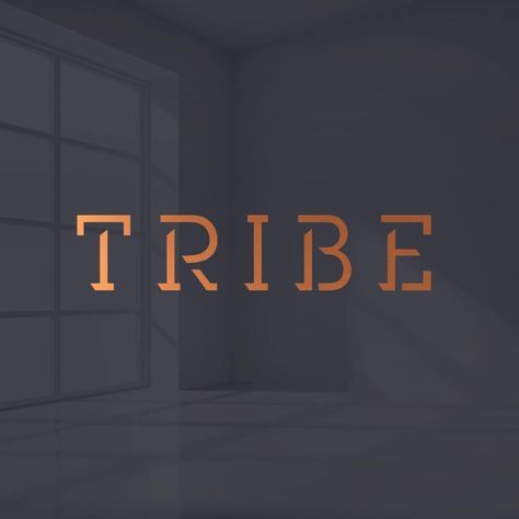 Tribe Logo Design, Property Design, Digital Assets, Digital Resources, Cool Fonts, Brand Design, Logo Inspiration, All Print, Branding Design