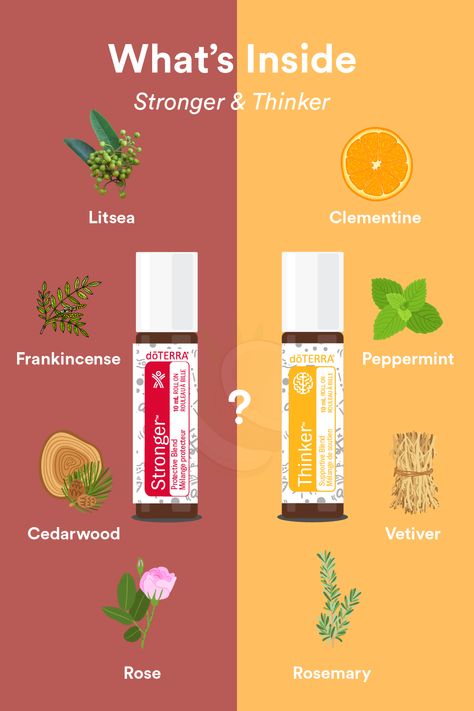 Doterra Baby, Cassia Essential Oil, Deep Blue Rub, Cinnamon Bark Essential Oil, Essential Oil Safety, Essential Oil Companies, Orange Clove, Clove Bud, Wild Orange