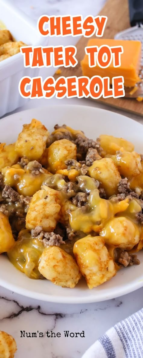 Best Tater Tot Casserole, Cheesy Tater Tot Casserole, Tater Tot Casserole Recipe, Easiest Dinner, Tater Tot Recipes, Hotdish Recipes, Beef Recipes For Dinner Easy, Tater Tot Casserole Recipes, Tot Casserole