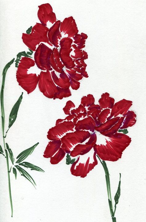 red peonies; marker medium art Bush Painting, The Look Of Love, Look Of Love, Red Peonies, Needful Things, Looking For Love, Medium Art, Watercolor Flowers, Garden Art